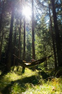 Waldbaden, Der Alpbacherhof, reisen, oesterreich, Kraftquelle Natur: Waldbaden im „Natur und SPA Resort Der Alpbacherhof****s“, City-News.de, City-News.de