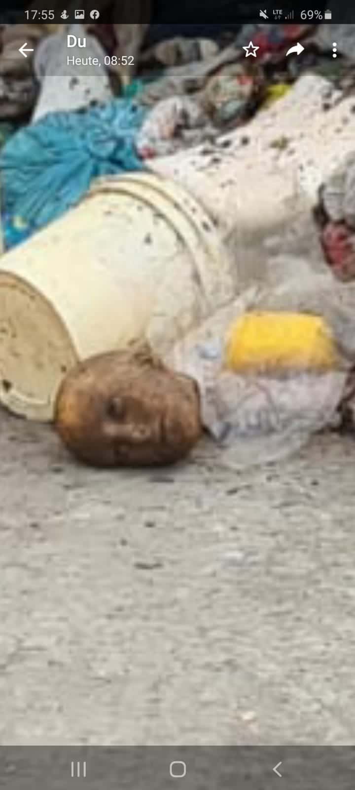 kopf hausmüll, Kopf im Hausmüll gefunden, City-News.de