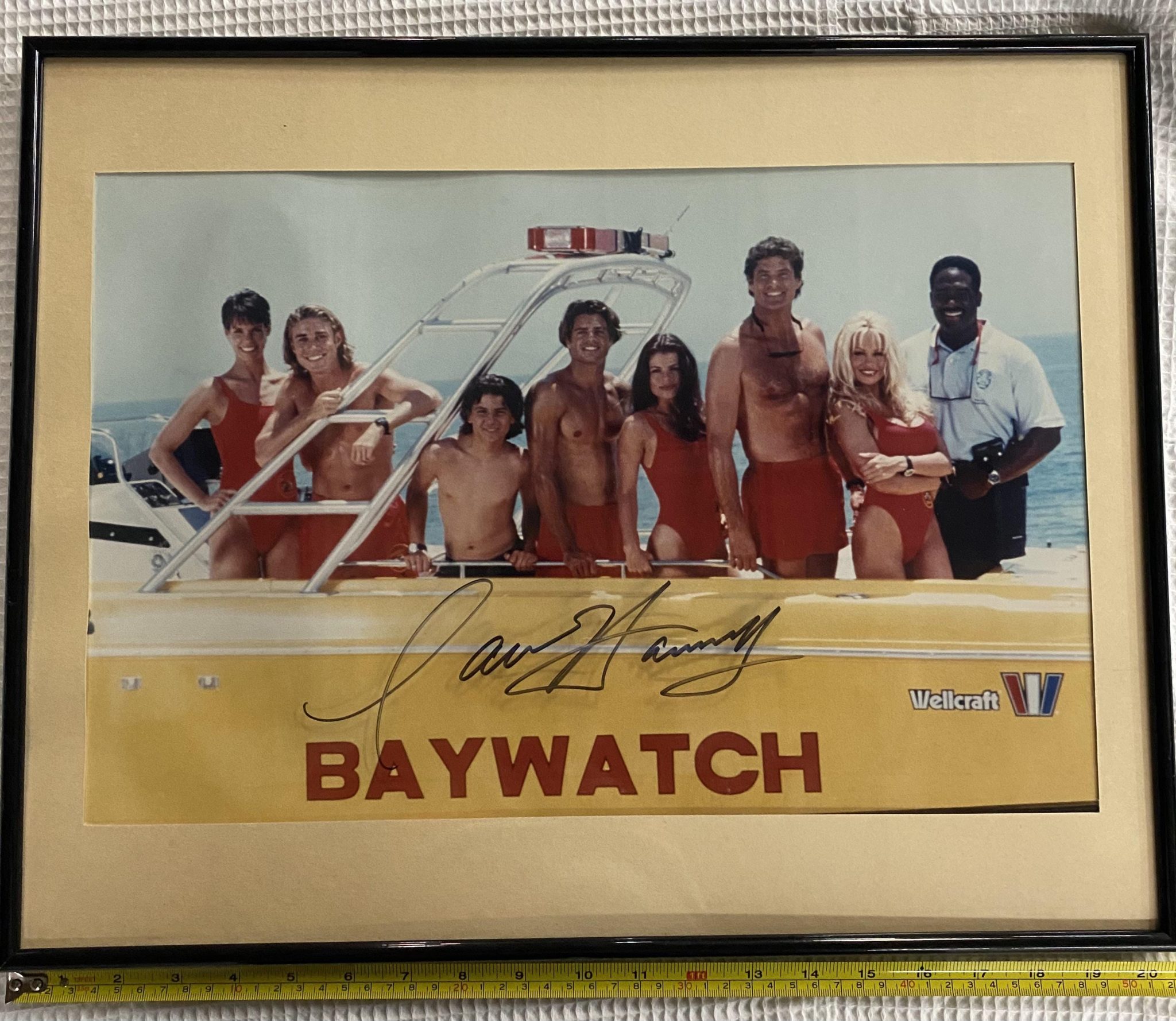 BikiniARTmuseum, David Hasselhoff`s K.I.T.T. für 300.000 $ in USA versteigert, City-News.de