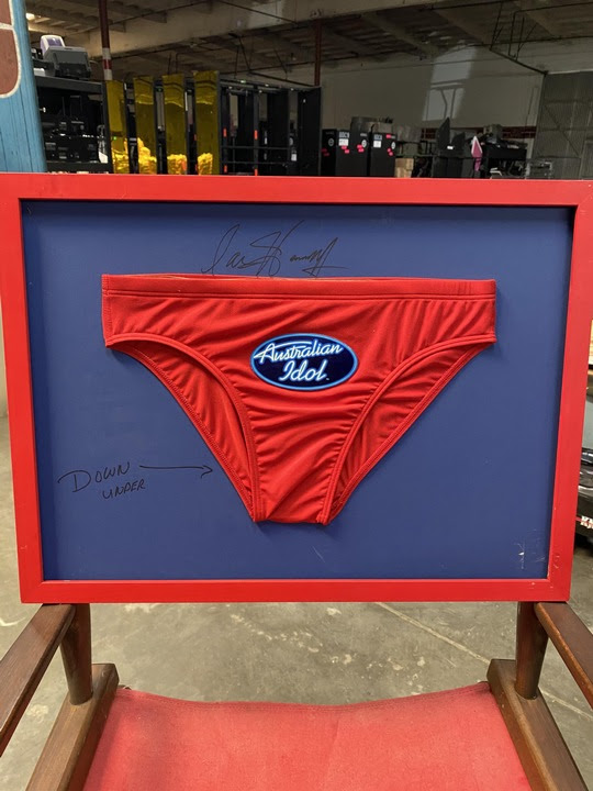 BikiniARTmuseum, David Hasselhoff`s K.I.T.T. für 300.000 $ in USA versteigert, City-News.de