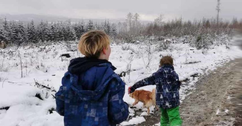 Beispielbild: Kinder spielen mit Hund im Schnee