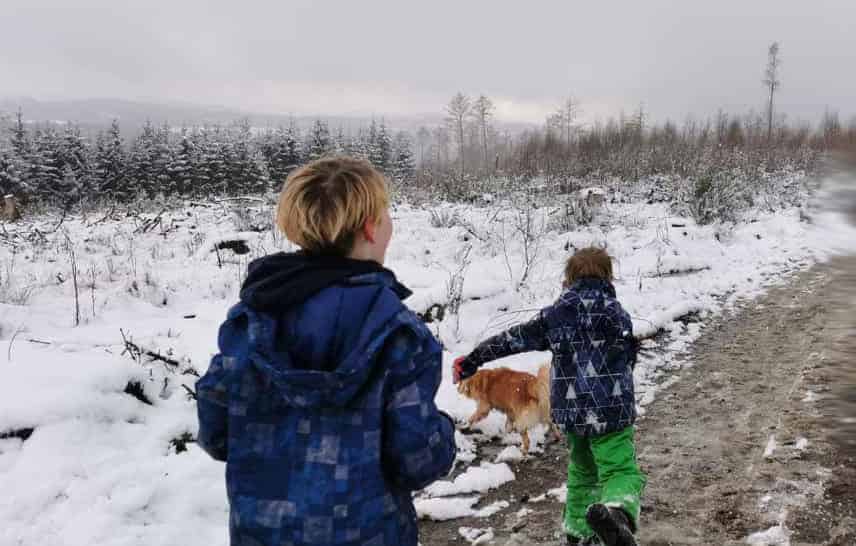 Beispielbild: Kinder spielen mit Hund im Schnee