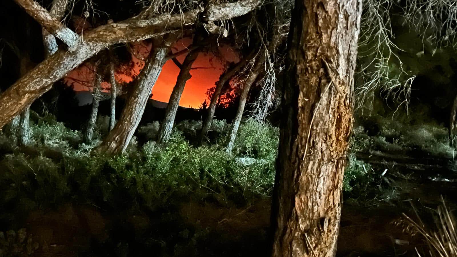 Das Foto zeigt einen Waldbrand in Griechenland