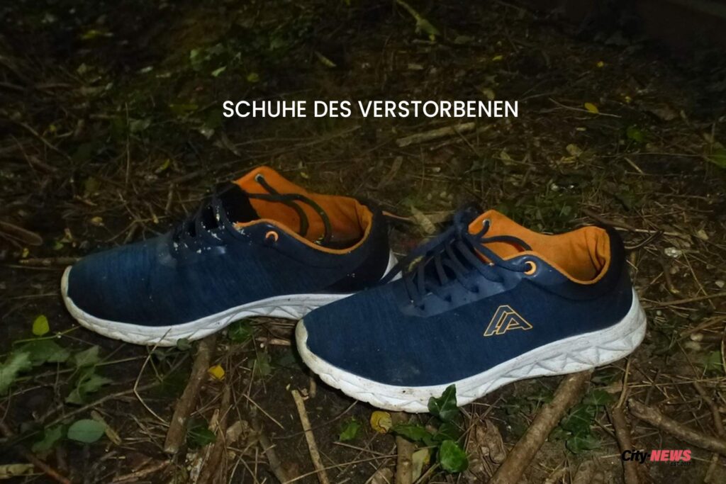 Ein Paar blaue Turnschuhe mit orangefarbenem Innenfutter und weißer Sohle, liegend auf einem Waldboden.