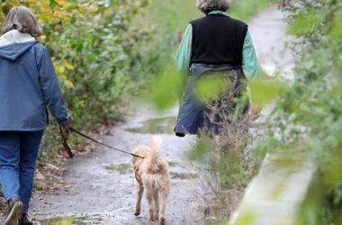 Zwei ältere Frauen gehen mit einem kleinen, zotteligen Hund auf einem naturbelassenen Waldweg spazieren. Sie sind von herbstlicher Vegetation umgeben.