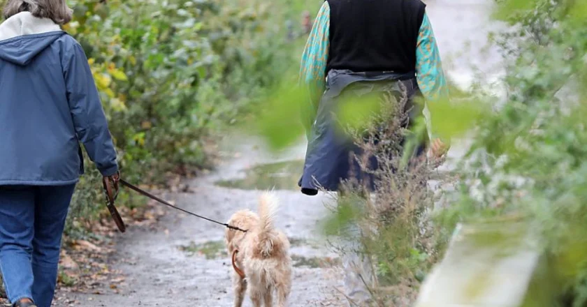 Zwei ältere Frauen gehen mit einem kleinen, zotteligen Hund auf einem naturbelassenen Waldweg spazieren. Sie sind von herbstlicher Vegetation umgeben.